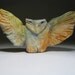 Owl Person Holding the Opening for Dreams