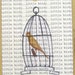 Birdy Tags x 6