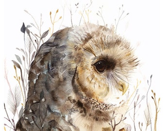 Owl watercolor art- Spotted Owl -print after original watercolor