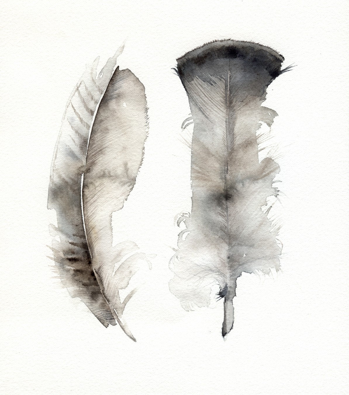 Turkey Feathers Original Watercolor Painting