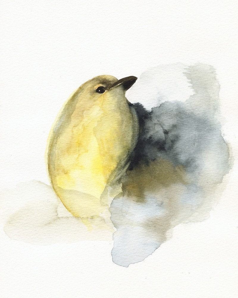 watercolor painting-bird watercolor-shabby chic by amberalexander