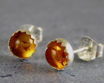Amber Earrings, sterling silver, amber studs, amber post earrings, amber jewelry, baltic amber, natural amber, gift for her, autumn