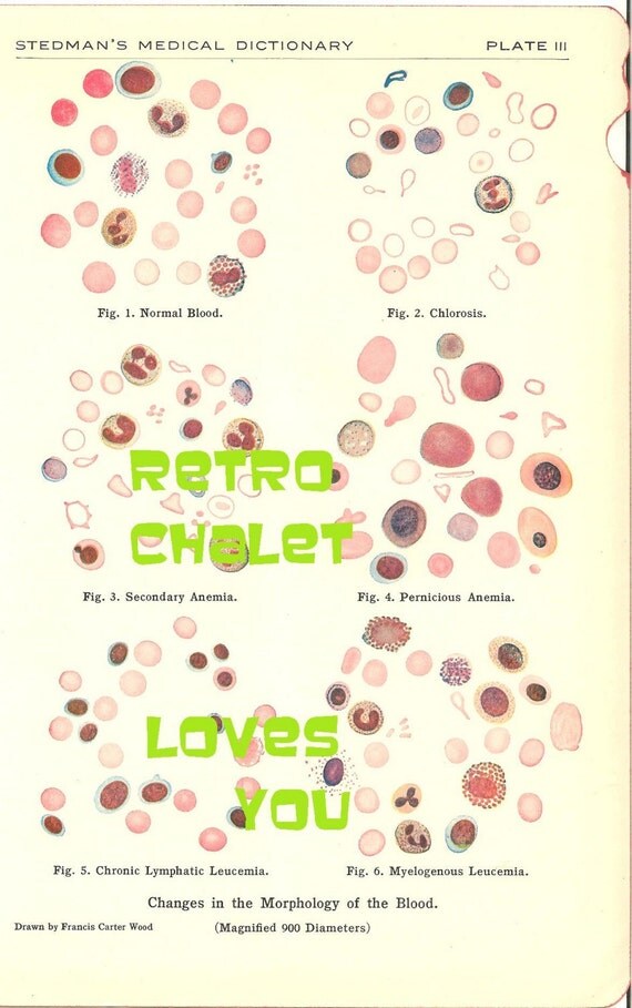 Color Blood Platelets Illustration plus ten pgs Stedman's