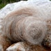Cella's Brown Icelandic Wool Roving 2 oz.