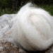 White Icelandic Roving, 2 oz.
