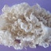 Curly Border Leicester Locks - 2oz