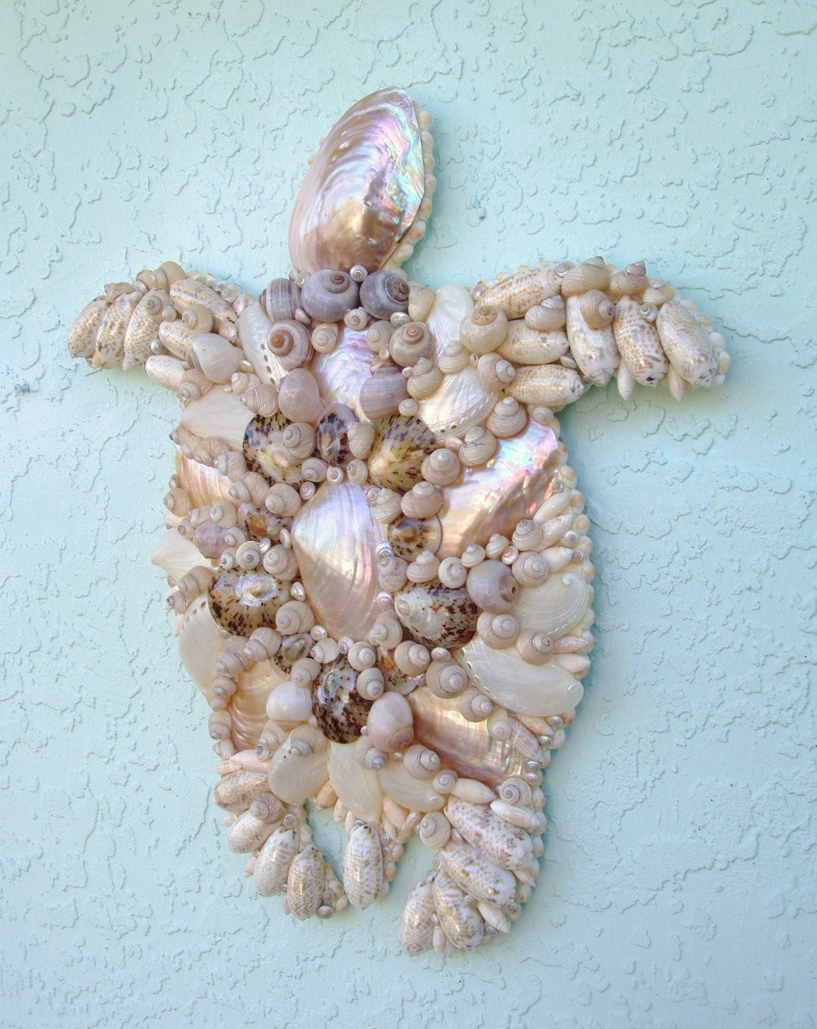 Sea Turtle Art Wall Hanging Seashells Tan and Pearl