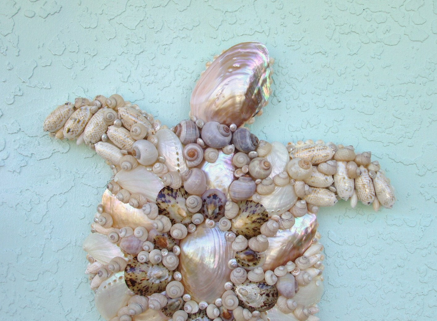 Sea Turtle Art Wall Hanging Seashells Tan and Pearl