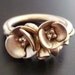 Poppies in Peach Gold - SAMPLE SALE - Handsculpted, Cast in Solid 14K "Peach Gold" - Ready to Ship (Sizes 6.5 to 7)