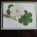 Green and White Flowers Embossed Handmade Greeting Card