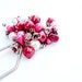 Berries and Roses Keychain / Bag Ring