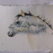 Fjord Horse on a cloudy Scottish sky Original Watercolour