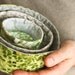 nesting bowls - frog pond and birches