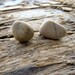 Natural Pebble Earrings
