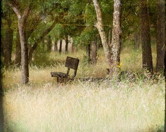 Yellow Green Grass Bench Photograph--Lonely Bench--Fine Art