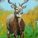 Deer 1 painting 18x24 inch original oil painting by Roz SALE