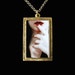 CLEARANCE SALE - Persuasion - Keep A Secret Photo Pendant Necklace