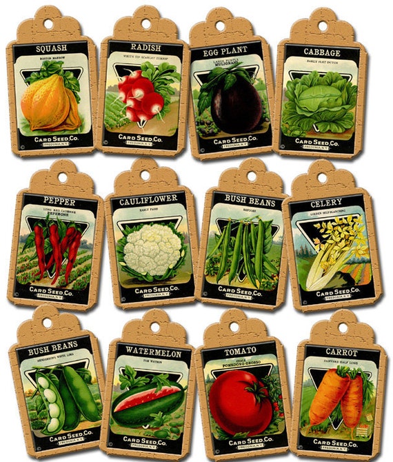 VeGeTaBLe SeeD PaCkETs ViNtAgE ArT Hang/Gift Tags/Labels
