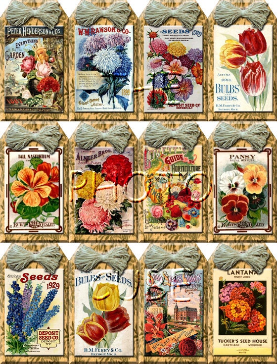 clipart vintage seed packets - photo #34