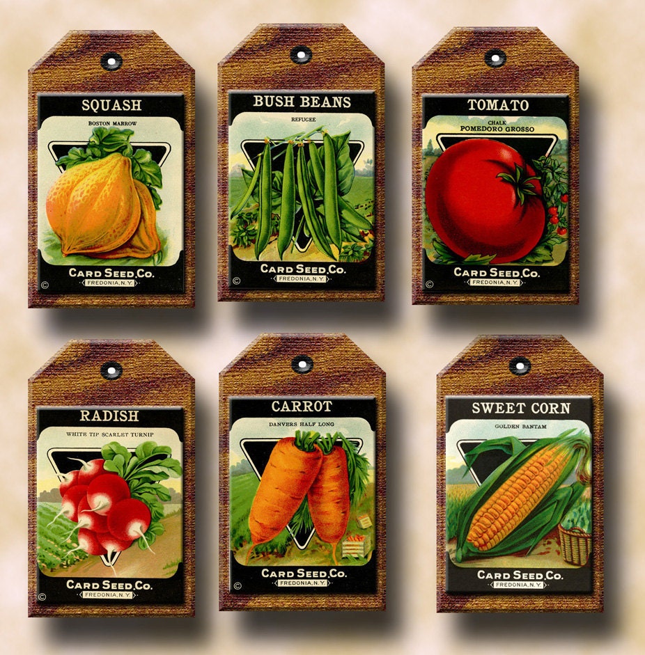 vegetable-seed-packets-primitive-vintage-art