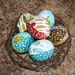 Nature Walk ORGANIC Cloth Fabric Easter Eggs - half dozen - Great decoration or basket filler - LAST SET in this design