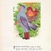 Indigo Bunting, Eagle 1912 Antique Bird Children Book Plate 2 Sided