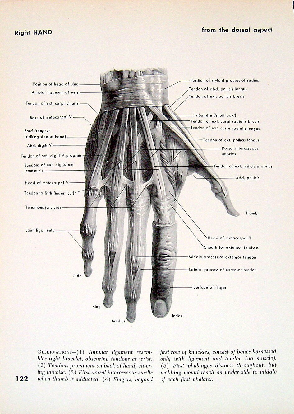 Body reference, Human body, Anatomy study