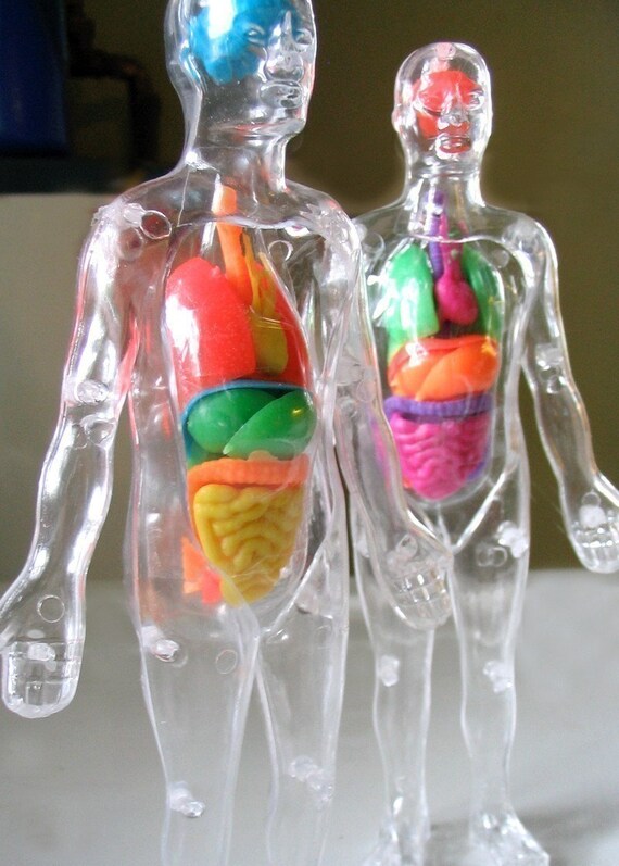 Plastic Human Body Parts