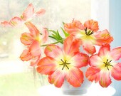 Orange Tulip Still Life Photograph, Nature Photography,  Parrots,  Floral Art Print, Tangerine Flower Photography