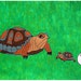 An apple doesn't fall far from the tree... original painting, acrylic on paper, 9,4"x 6,7", 24 x 17 cm, tortoise, reptile, nature, fantasy