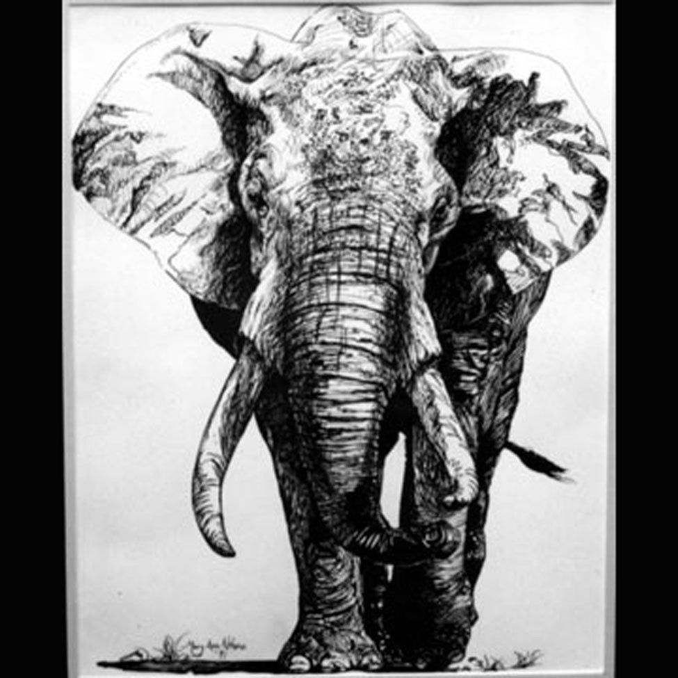 Original Elephant Drawing by maryannart on Etsy