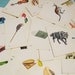 Vintage Educational Flash Cards - Set of 8 - Illustrations, Alphabet, Learning