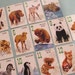 RESERVED - Vintage Cute Baby Animals Cards - 2 Sets of 13 - Animal Rummy - RESERVED for ExquisitePapers