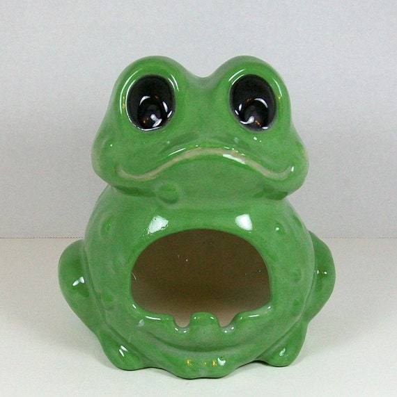 Ceramic Frog Sponge Holder