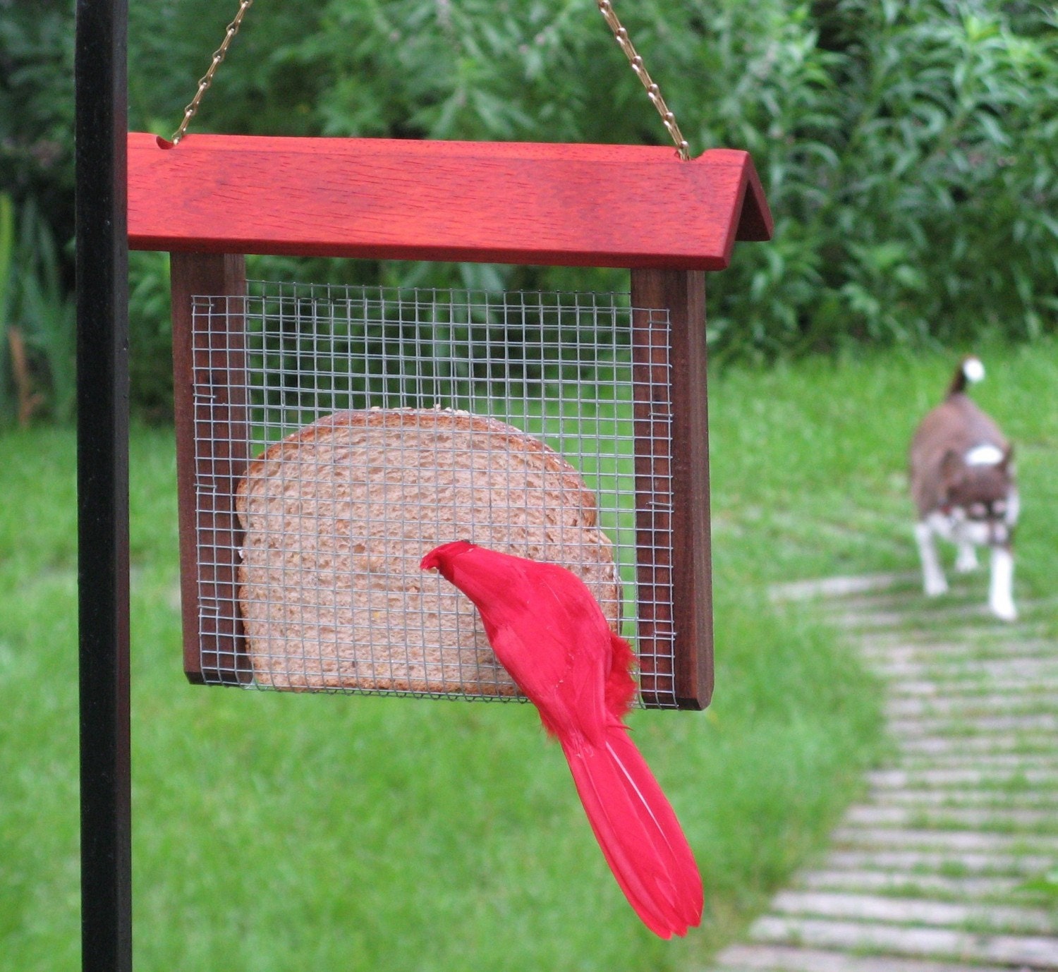 Bread Bird Feeder