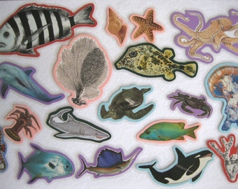 Ocean Animals Felt Board Set, Under The Sea Flannel Board Set, Science Felt Board Set, Homeschool Preschool, Teacher's Resource