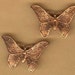 vintage butterfly charms, texture ox patina raw brass, three pieces