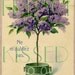 DIGITAL scan LILACS topiary tree Antique FRENCH Don't Forget Postcard Romantic Cottage Wall Decor