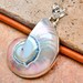 Nautilus Ocean Shell Pendant - Pink Shell - Authentic - Gemstone Jewelry - .925 Sterling Silver - Free Shipping