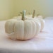 Custom Listing for Meghan and Jackson Mini White Pumpkins for Fall Weddings or Home Decor