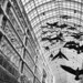 The Migration
