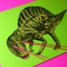 dinosaur lasers greeting card