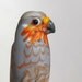 Sharp Shinned Hawk glass lampwork wildlife bead sculpted by Cleo Dunsmore Gramatortoise
