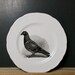 Pigeon Souvenir Plate