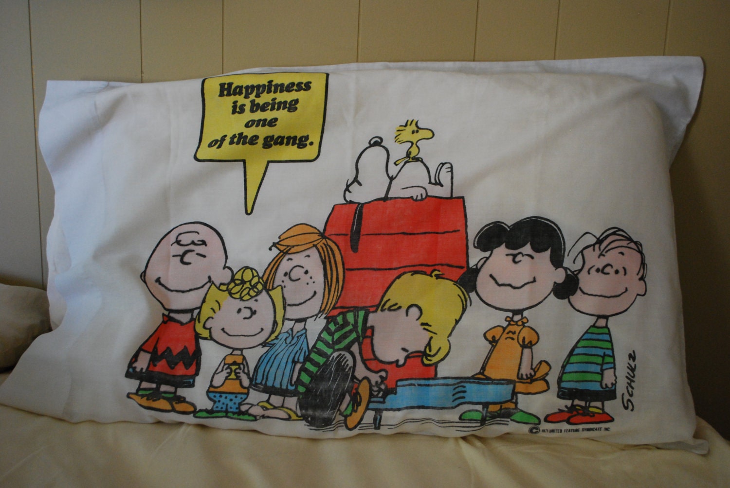 Vintage 70s Peanuts Charlie Brown Snoopy Pillow Case