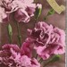 1945 postcard french postcard bouquet flowers Happy new year