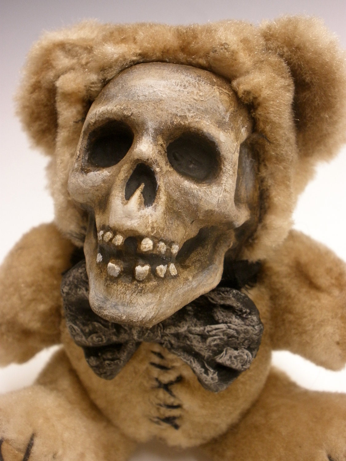 teddy bear skeleton