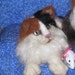 Custom Cat Portrait of your Pet from Your Photo/ Double paws Calico