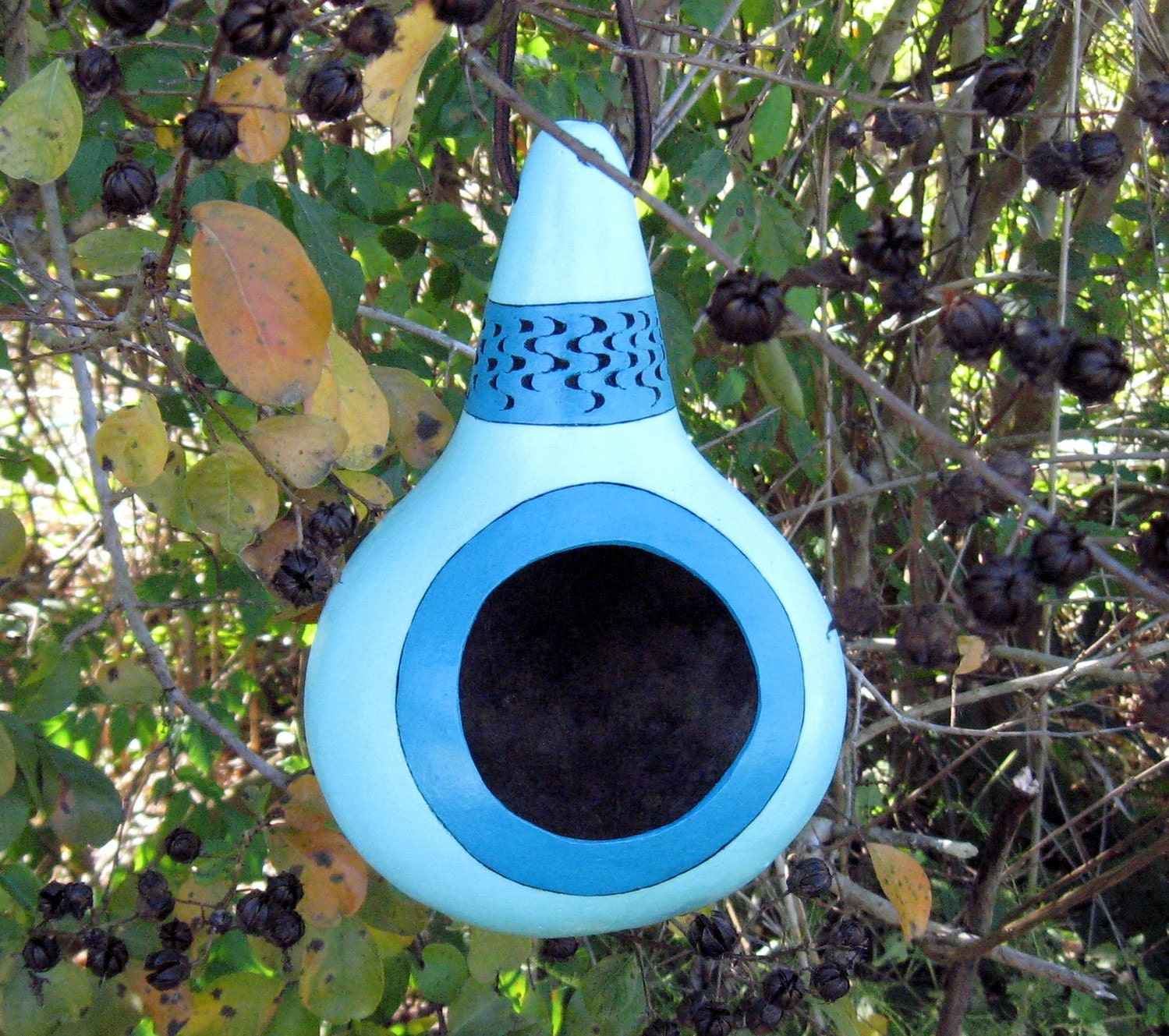 Gourd Bird Feeder Painted Gourd Hand Carved by midnightcoiler