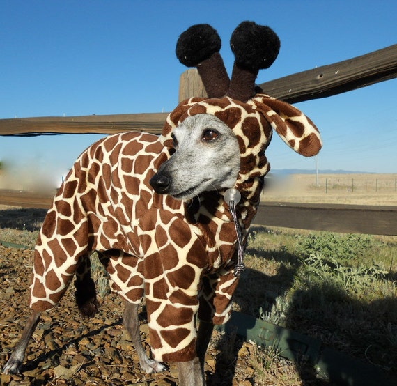 Items similar to Tiny Giraffe XS Pet Costume Jammies have your own lap ...